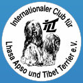 tibet-terrier-ruede001003.jpg